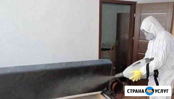 Уничтожение тараканов и клопов Рязань