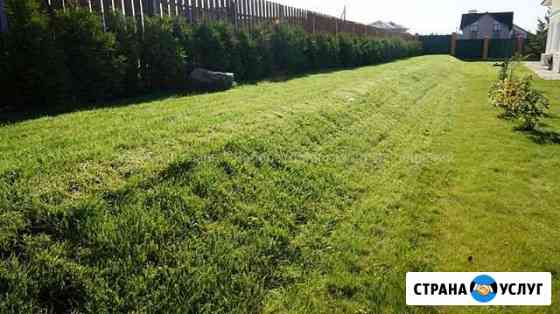 Рулонный и посевной газон Екатеринбург