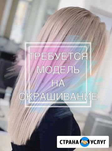 Окрашивание/стрижки Мытищи - изображение 1