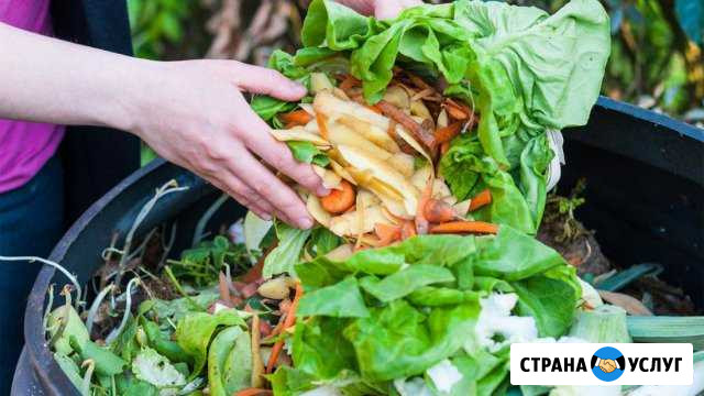 Вывезу пищевые отходы,хлеб,овощи и т.д Родники - изображение 1