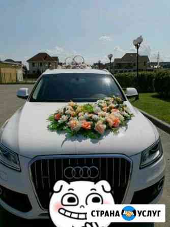 Авто на свадьбу audi Q5 Трансфер Ульяновск