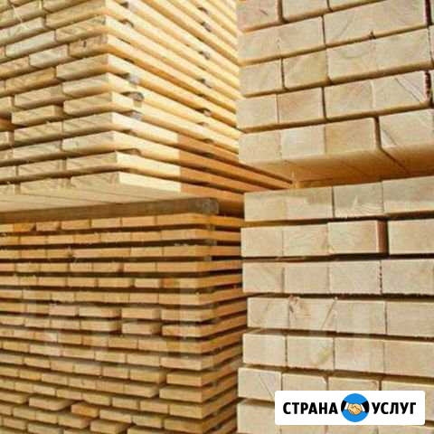Пиламатирал Томск - изображение 1