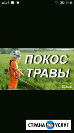 Покос травы, борщевика Сыктывкар