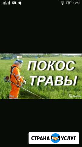 Покос травы, борщевика Сыктывкар - изображение 1