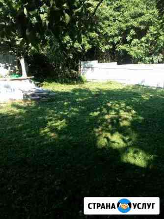 Расчистка участков,укос травы,спил деревьев Сочи