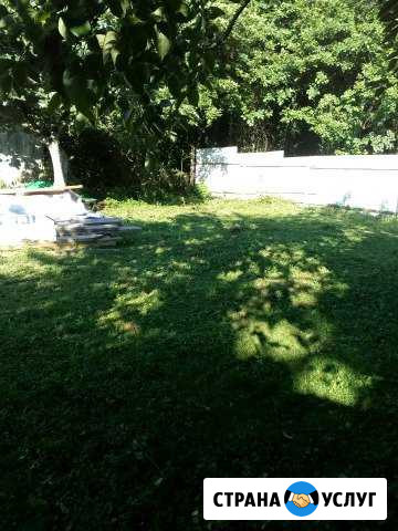 Расчистка участков,укос травы,спил деревьев Сочи - изображение 1
