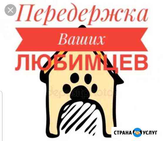 Передержку домашних животных Калининград