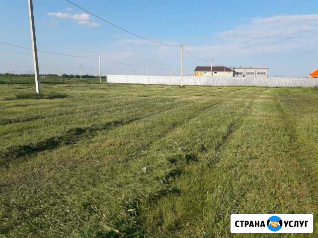 Покос травы трактором Азов - изображение 1