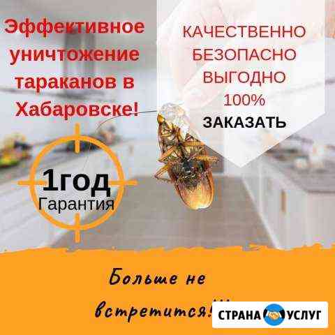 Уничтожение тараканов в Хабаровске все районы Хабаровск