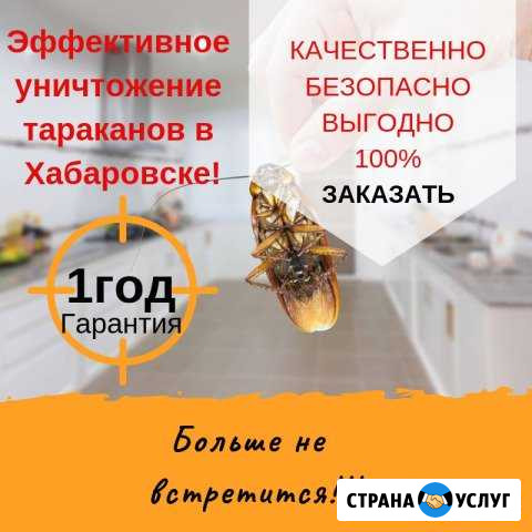 Уничтожение тараканов в Хабаровске все районы Хабаровск - изображение 1