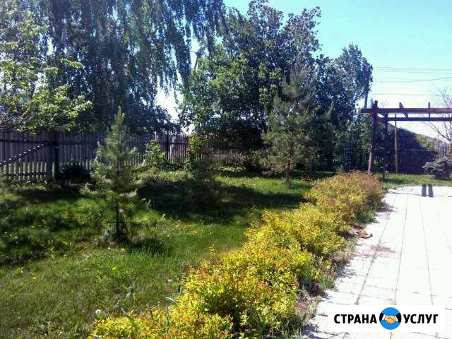 Передержка собаки Красный Яр - изображение 1