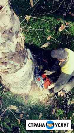 Спил Обрезка Деревьев Анапа