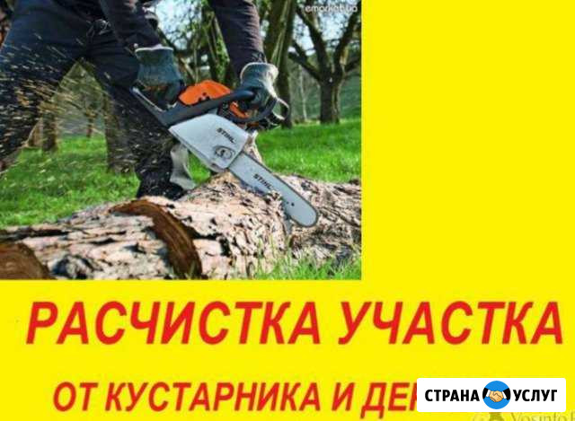 Уборка участков. Благоустройство.Расчистка террито Саратов - изображение 1