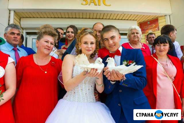 Свадебный фотограф и видеограф Усолье-Сибирское - изображение 1
