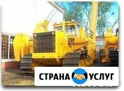 Аренда Трубоукладчик Краснодар - изображение 1