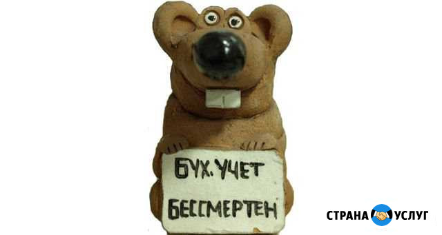 Восстановление, постановка бух учета Владимир - изображение 1