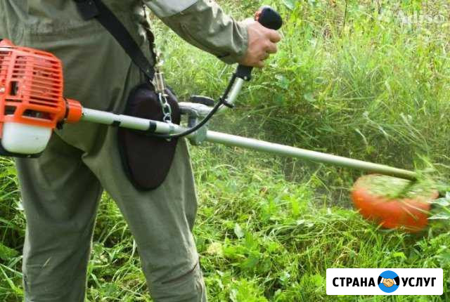 Покос травы Новошахтинск - изображение 1