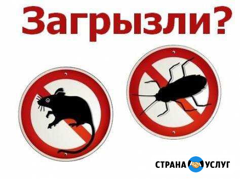 Дератизация,дезинсекция Губкинский - изображение 1