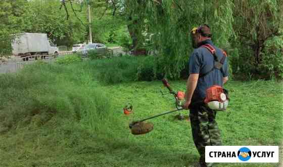 Покос травы в Краснодаре Краснодар
