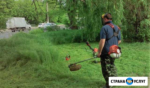 Покос травы в Краснодаре Краснодар - изображение 1