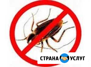 Обработка от насекомых Таганрог - изображение 1