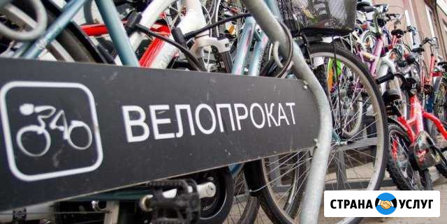 Велоремонт. Велопрокат. Прокат велосипедов Чайковский - изображение 1