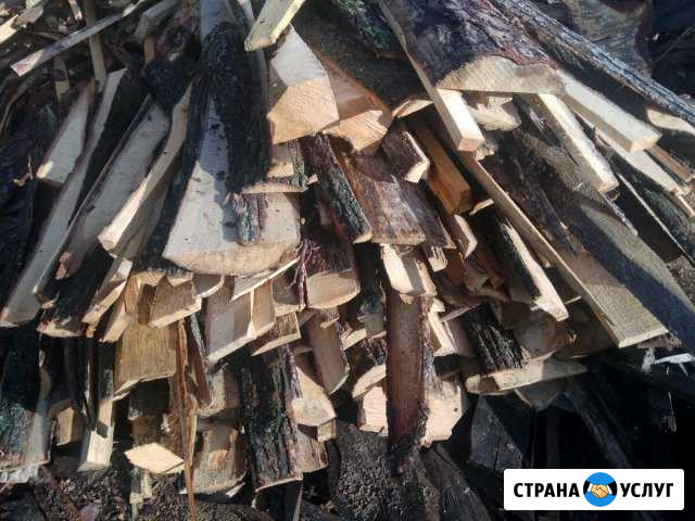 Дрова бесплатно с доставкой Отрадный - изображение 1