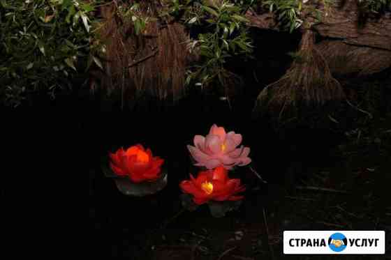 Большие цветы на мероприятие, фотосессию, интерьер Санкт-Петербург