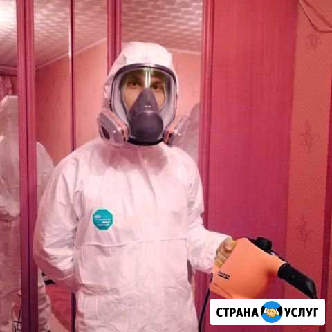 Уничтожение крыс, клопов и тараканов. Дезинфекция Пенза - изображение 1