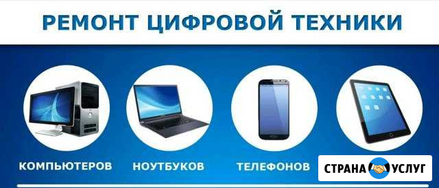 Ремонт цифровой техники Лосино-Петровский - изображение 1