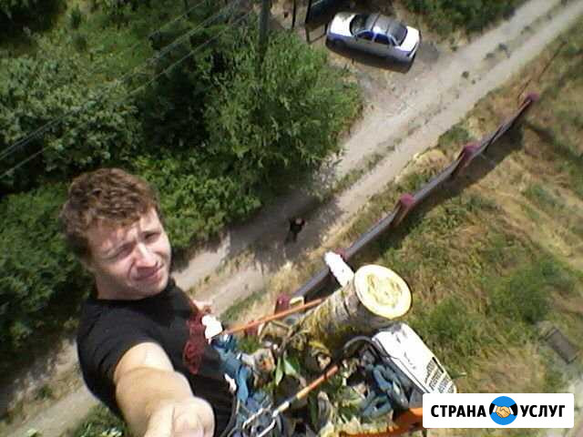 Спил деревьев Уборка участков покос травы Таганрог - изображение 1