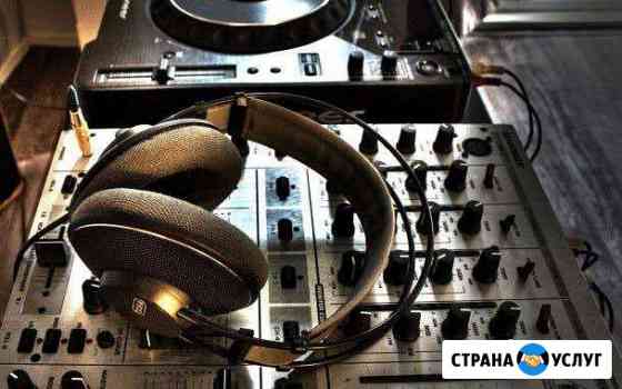 DJ и ведущая на свадьбу Копейск
