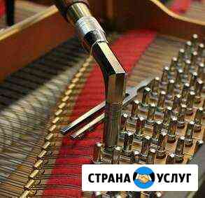 Настройка пианино и рояль спб от Санкт-Петербург