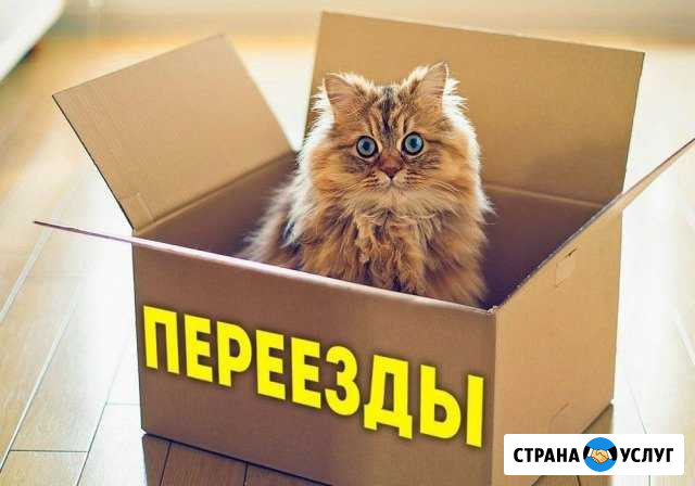 Грузоперевозки при переезде Быстрый переезд Ногинск - изображение 1