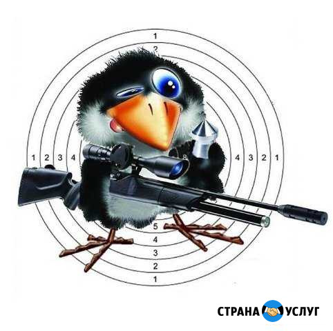 Ремонт пневматики Москва - изображение 1