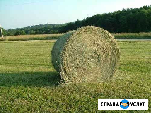 Прессоподборщик Мичуринск - изображение 1