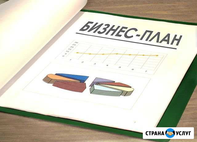 Разработка бизнес-планов Саранск - изображение 1