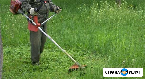 Услуги покоса травы,услуги мотоблока Ельня - изображение 1
