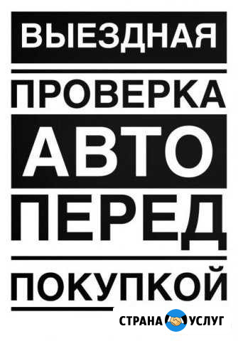 Качественный подбор, проверка и диагностика авто Петрозаводск - изображение 1