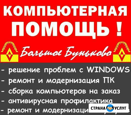 Компьютерная помощь Большое Буньково - изображение 1