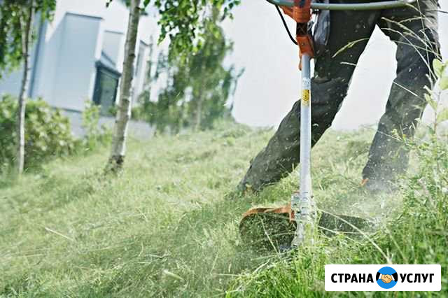 Скошу траву Исилькуль - изображение 1