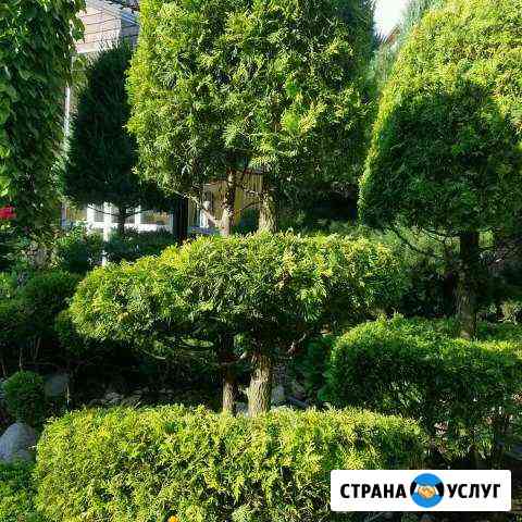 Уборка сада Раменское