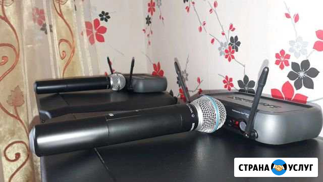 Озвучивание праздничных мероприятий Краснозерское - изображение 1