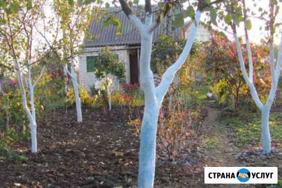 Садовник, обрезка деревьев, стрижка, уход Санкт-Петербург