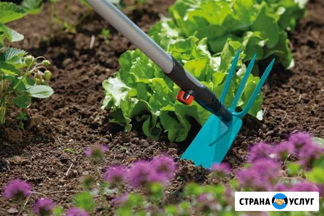 Помощь на вашем участке Астрахань - изображение 1