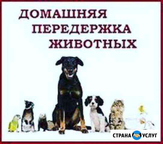 Передержка животных Брянск