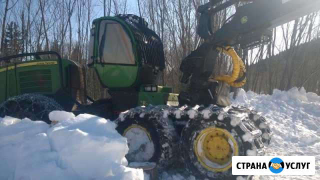 Услуги лесозаготовки Белозерск - изображение 1