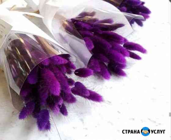 Букеты из сухоцветов Тольятти