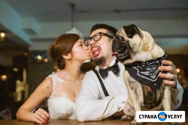 Видеосъемка / Фотосессии - Свадьбы / Креатив Киров - изображение 1