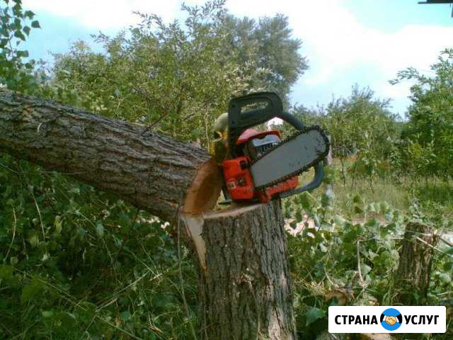 Спилю дерево, с вывозом дров Славянск-на-Кубани - изображение 1